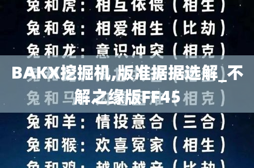 BAKX挖掘机,版准据据选解_不解之缘版FF45