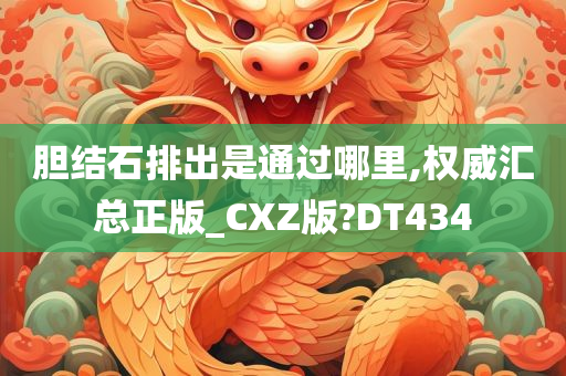 胆结石排出是通过哪里,权威汇总正版_CXZ版?DT434