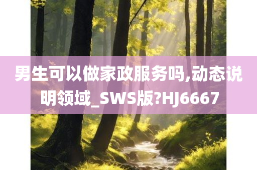 男生可以做家政服务吗,动态说明领域_SWS版?HJ6667