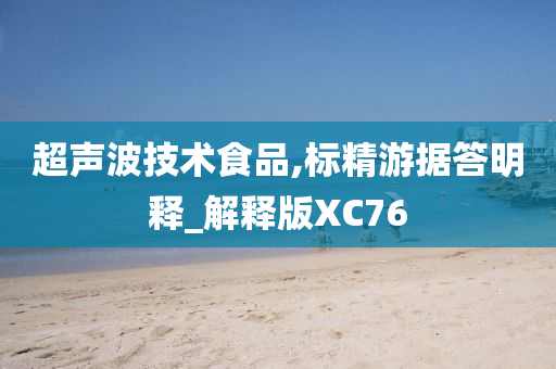 超声波技术食品,标精游据答明释_解释版XC76