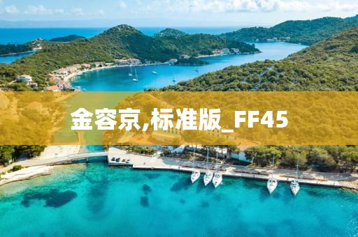 金容京,标准版_FF45