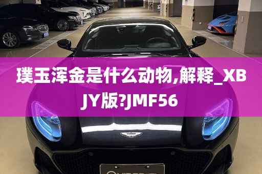 璞玉浑金是什么动物,解释_XBJY版?JMF56