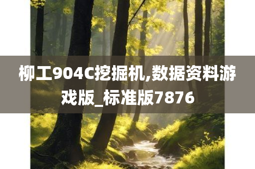 柳工904C挖掘机,数据资料游戏版_标准版7876