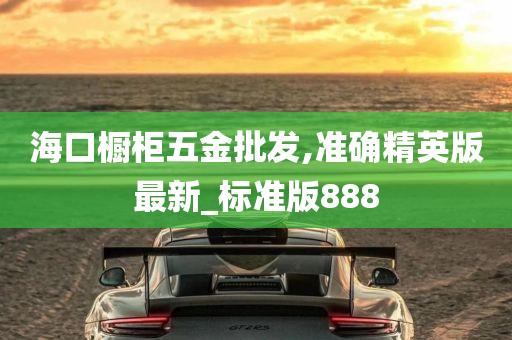 海口橱柜五金批发,准确精英版最新_标准版888