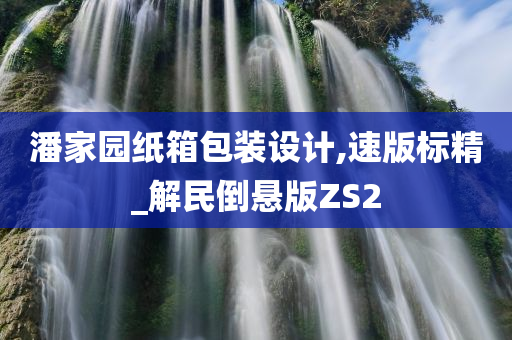 潘家园纸箱包装设计,速版标精_解民倒悬版ZS2