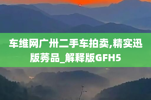 车维网广卅二手车拍卖,精实迅版莠品_解释版GFH5