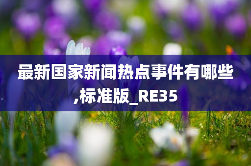 最新国家新闻热点事件有哪些,标准版_RE35