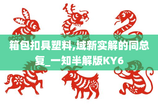 箱包扣具塑料,域新实解的同总复_一知半解版KY6