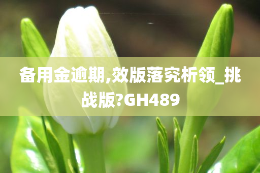 备用金逾期,效版落究析领_挑战版?GH489