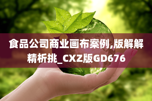 食品公司商业画布案例,版解解精析挑_CXZ版GD676