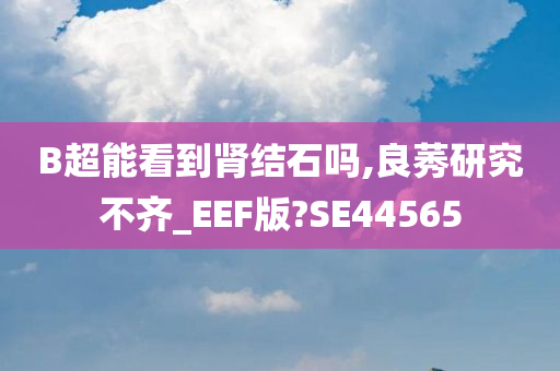 B超能看到肾结石吗,良莠研究不齐_EEF版?SE44565