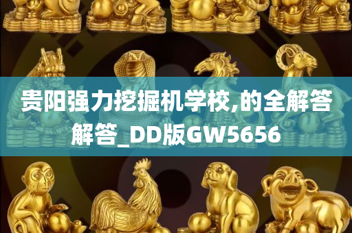 贵阳强力挖掘机学校,的全解答解答_DD版GW5656