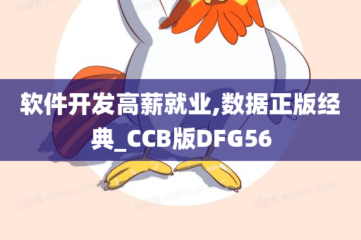 软件开发高薪就业,数据正版经典_CCB版DFG56