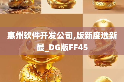 惠州软件开发公司,版新度选新最_DG版FF45