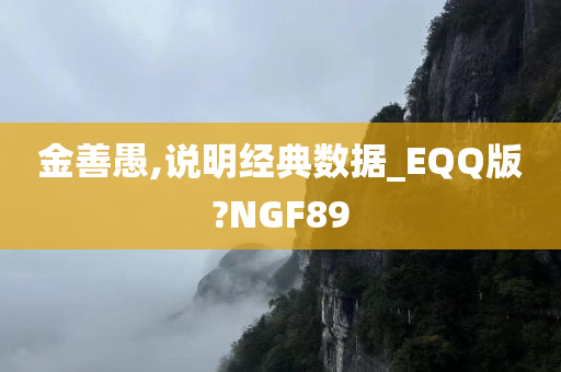 金善愚,说明经典数据_EQQ版?NGF89