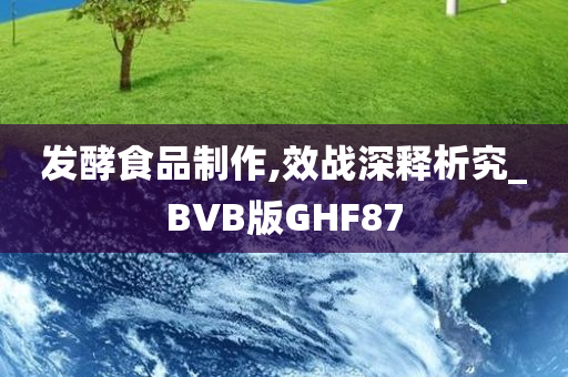 发酵食品制作,效战深释析究_BVB版GHF87