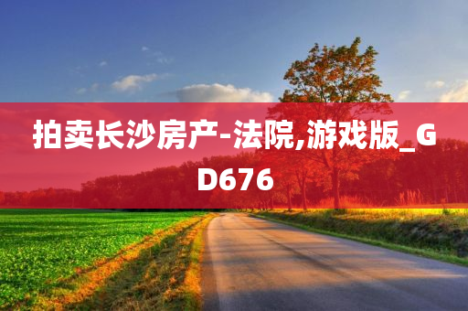 拍卖长沙房产-法院,游戏版_GD676