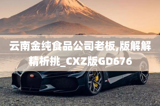 云南金纯食品公司老板,版解解精析挑_CXZ版GD676