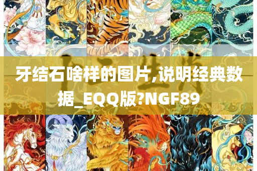 牙结石啥样的图片,说明经典数据_EQQ版?NGF89