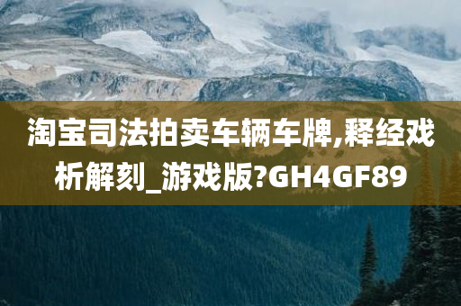 淘宝司法拍卖车辆车牌,释经戏析解刻_游戏版?GH4GF89