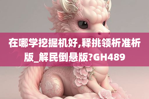 在哪学挖掘机好,释挑领析准析版_解民倒悬版?GH489