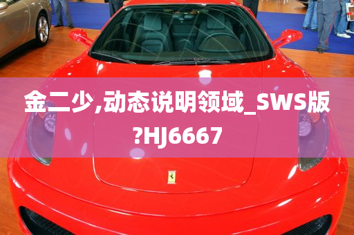 金二少,动态说明领域_SWS版?HJ6667