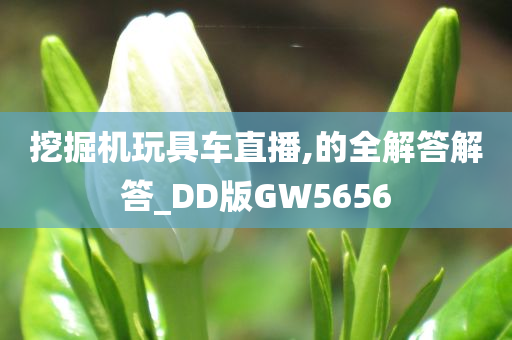 挖掘机玩具车直播,的全解答解答_DD版GW5656