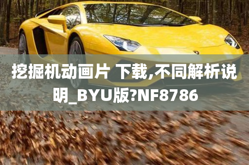 挖掘机动画片 下载,不同解析说明_BYU版?NF8786