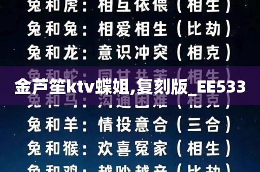 金芦笙ktv蝶姐,复刻版_EE533