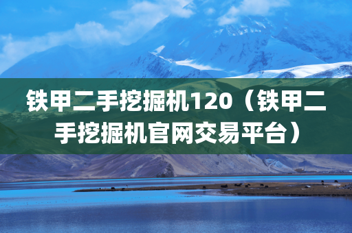 铁甲二手挖掘机120（铁甲二手挖掘机官网交易平台）