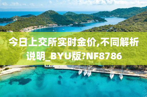 今日上交所实时金价,不同解析说明_BYU版?NF8786