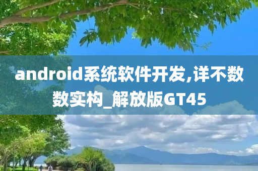 android系统软件开发,详不数数实构_解放版GT45