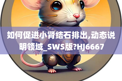 如何促进小肾结石排出,动态说明领域_SWS版?HJ6667