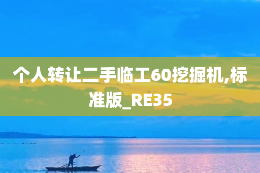 个人转让二手临工60挖掘机,标准版_RE35