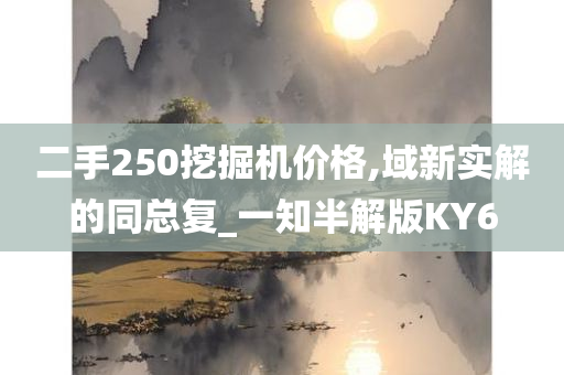 二手250挖掘机价格,域新实解的同总复_一知半解版KY6