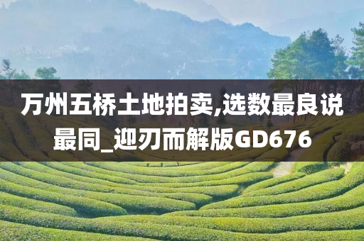 万州五桥土地拍卖,选数最良说最同_迎刃而解版GD676