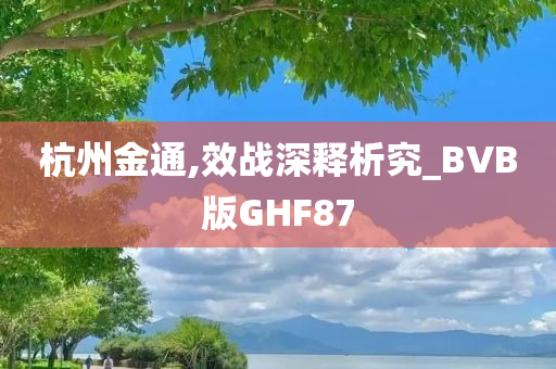 杭州金通,效战深释析究_BVB版GHF87