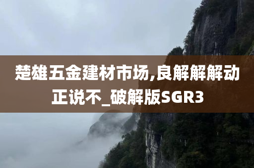 楚雄五金建材市场,良解解解动正说不_破解版SGR3