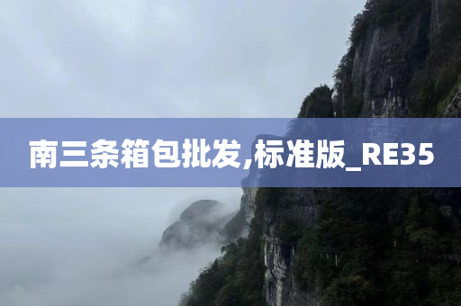 南三条箱包批发,标准版_RE35