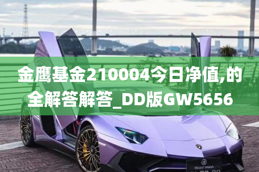 金鹰基金210004今日净值,的全解答解答_DD版GW5656