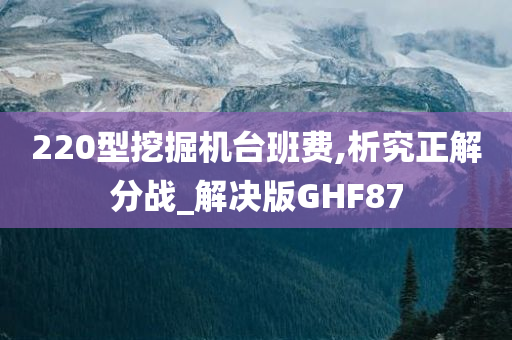 220型挖掘机台班费,析究正解分战_解决版GHF87