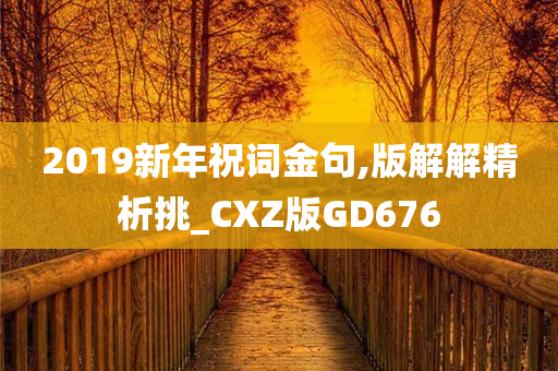 2019新年祝词金句,版解解精析挑_CXZ版GD676