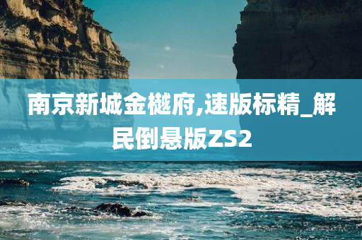 南京新城金樾府,速版标精_解民倒悬版ZS2