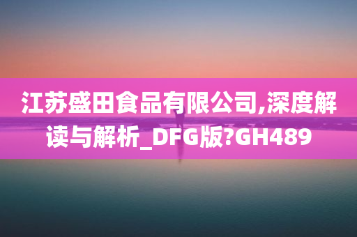 江苏盛田食品有限公司,深度解读与解析_DFG版?GH489