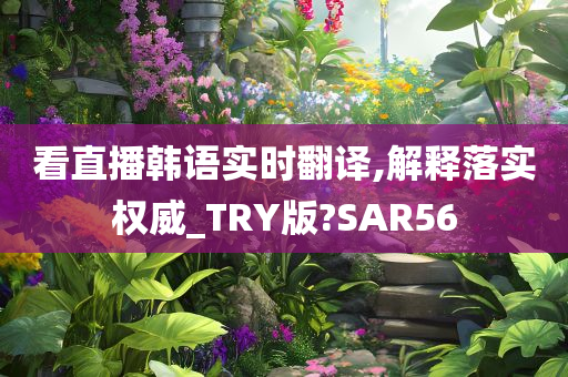 看直播韩语实时翻译,解释落实权威_TRY版?SAR56