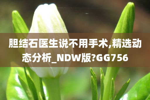 胆结石医生说不用手术,精选动态分析_NDW版?GG756