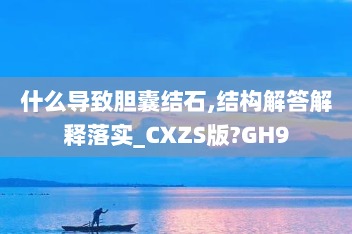 什么导致胆囊结石,结构解答解释落实_CXZS版?GH9