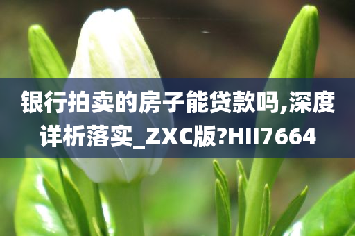 银行拍卖的房子能贷款吗,深度详析落实_ZXC版?HII7664