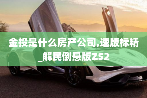 金投是什么房产公司,速版标精_解民倒悬版ZS2