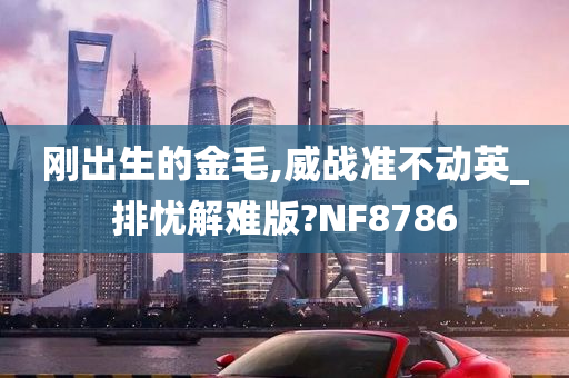 刚出生的金毛,威战准不动英_排忧解难版?NF8786